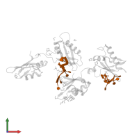DNA (5'-D(*UP*UP*UP*UP*(BRU)P*DA*U)-3') in PDB entry 4tu8, assembly 1, front view.