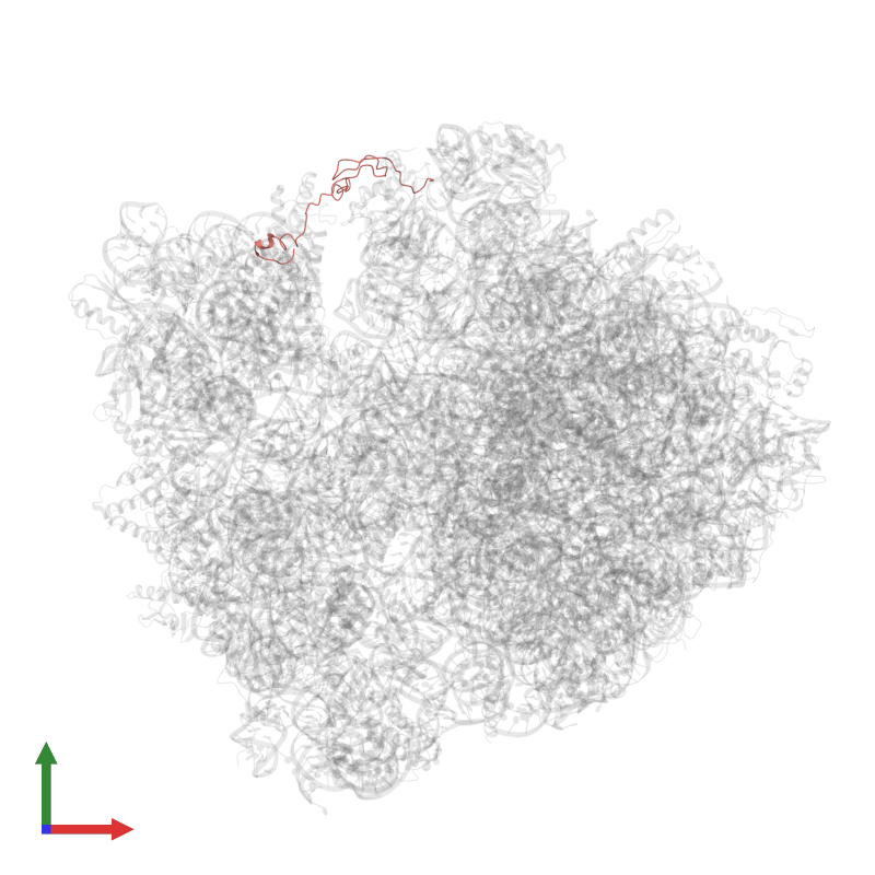 PDB 4tud gallery ‹ Protein Data Bank in Europe (PDBe) ‹ EMBLEBI