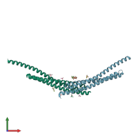 PDB entry 4tx5 coloured by chain, front view.