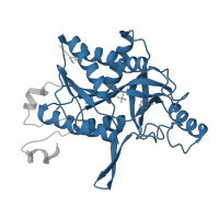 The deposited structure of PDB entry 4txm contains 2 copies of Pfam domain PF01048 (Phosphorylase superfamily) in Uridine phosphorylase A. Showing 1 copy in chain A.