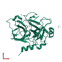 Coagulation factor XIa light chain in PDB entry 4ty7, assembly 1, front view.