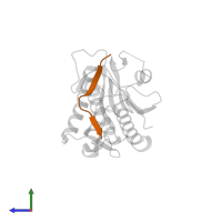 HORMA domain-containing protein in PDB entry 4tzm, assembly 1, side view.
