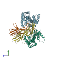 PDB entry 4u0q coloured by chain, side view.