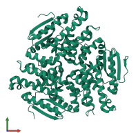 Enoyl-CoA delta isomerase 2 in PDB entry 4u1a, assembly 1, front view.