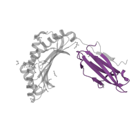 The deposited structure of PDB entry 4u1m contains 1 copy of Pfam domain PF07654 (Immunoglobulin C1-set domain) in HLA class I histocompatibility antigen, B alpha chain. Showing 1 copy in chain A.