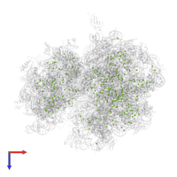 MAGNESIUM ION in PDB entry 4u1v, assembly 1, top view.