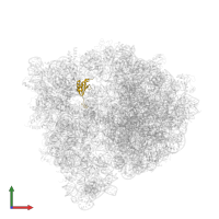 Small ribosomal subunit protein uS11 in PDB entry 4u27, assembly 1, front view.
