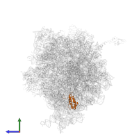 Large ribosomal subunit protein bL17 in PDB entry 4u27, assembly 1, side view.