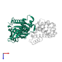 Membrane-associated protein VP24 in PDB entry 4u2x, assembly 1, top view.