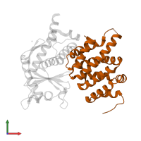 Importin subunit alpha-6 in PDB entry 4u2x, assembly 1, front view.