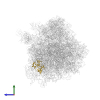 Small ribosomal subunit protein eS4A in PDB entry 4u3m, assembly 2, side view.