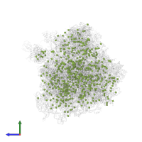 osmium (III) hexammine in PDB entry 4u3m, assembly 2, side view.