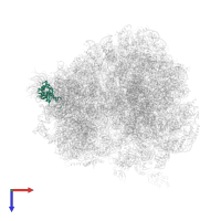 Small ribosomal subunit protein eS7A in PDB entry 4u3n, assembly 2, top view.