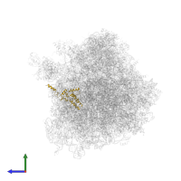 Small ribosomal subunit protein uS4A in PDB entry 4u3u, assembly 2, side view.