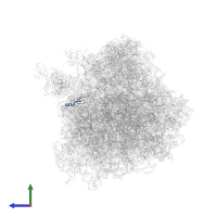 Large ribosomal subunit protein eL40A in PDB entry 4u3u, assembly 2, side view.