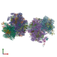 PDB entry 4u4n coloured by chain, front view.