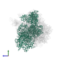 18S Ribosomal RNA in PDB entry 4u4n, assembly 2, side view.