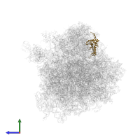 Small ribosomal subunit protein uS7 in PDB entry 4u4n, assembly 2, side view.