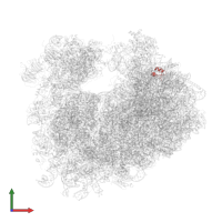 Unknown protein p1 in PDB entry 4u4n, assembly 2, front view.