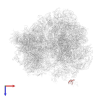 Unknown protein p1 in PDB entry 4u4n, assembly 2, top view.