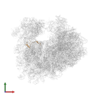 Small ribosomal subunit protein eS30A in PDB entry 4u4o, assembly 2, front view.