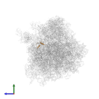 Small ribosomal subunit protein eS30A in PDB entry 4u4o, assembly 2, side view.