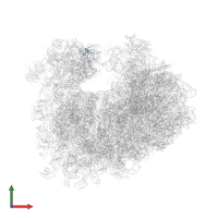 Small ribosomal subunit protein eS31 in PDB entry 4u4o, assembly 2, front view.