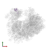 Small ribosomal subunit protein eS19A in PDB entry 4u4r, assembly 2, front view.