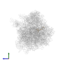 Small ribosomal subunit protein eS26B in PDB entry 4u4r, assembly 2, side view.