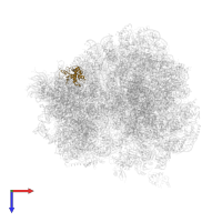 Small ribosomal subunit protein uS7 in PDB entry 4u4r, assembly 2, top view.