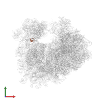 Small ribosomal subunit protein eS28A in PDB entry 4u4y, assembly 2, front view.