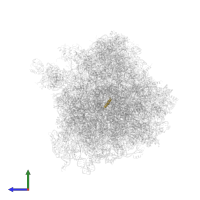 Small ribosomal subunit protein eS32A in PDB entry 4u4z, assembly 2, side view.