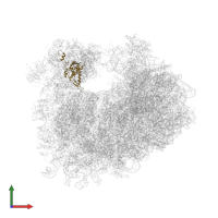 Small ribosomal subunit protein uS7 in PDB entry 4u51, assembly 2, front view.