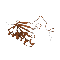 The deposited structure of PDB entry 4u53 contains 2 copies of Pfam domain PF00411 (Ribosomal protein S11) in Small ribosomal subunit protein uS11A. Showing 1 copy in chain QC [auth c4].