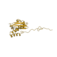 The deposited structure of PDB entry 4u53 contains 2 copies of Pfam domain PF00380 (Ribosomal protein S9/S16) in Small ribosomal subunit protein uS9A. Showing 1 copy in chain SC [auth c6].