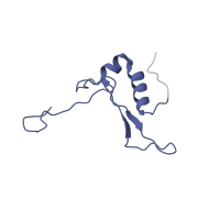 The deposited structure of PDB entry 4u53 contains 2 copies of Pfam domain PF01249 (Ribosomal protein S21e ) in Small ribosomal subunit protein eS21A. Showing 1 copy in chain W [auth D1].