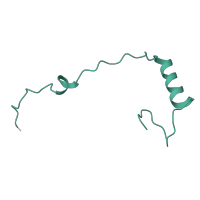 The deposited structure of PDB entry 4u53 contains 1 copy of Pfam domain PF04758 (Ribosomal protein S30) in Small ribosomal subunit protein eS30A. Showing 1 copy in chain FA [auth E0].