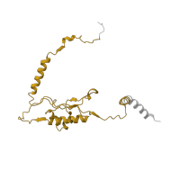 The deposited structure of PDB entry 4u53 contains 2 copies of Pfam domain PF01294 (Ribosomal protein L13e) in Large ribosomal subunit protein eL13A. Showing 1 copy in chain YD [auth m3].