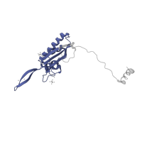 The deposited structure of PDB entry 4u53 contains 2 copies of Pfam domain PF00237 (Ribosomal protein L22p/L17e) in Large ribosomal subunit protein uL22A. Showing 1 copy in chain AB [auth M7].