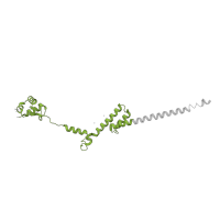 The deposited structure of PDB entry 4u53 contains 2 copies of Pfam domain PF01280 (Ribosomal protein L19e) in Large ribosomal subunit protein eL19A. Showing 1 copy in chain CB [auth M9].
