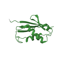 The deposited structure of PDB entry 4u53 contains 2 copies of Pfam domain PF01776 (Ribosomal L22e protein family) in Large ribosomal subunit protein eL22A. Showing 1 copy in chain FB [auth N2].