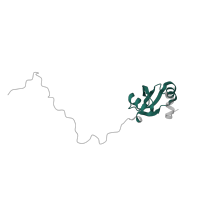 The deposited structure of PDB entry 4u53 contains 2 copies of Pfam domain PF00276 (Ribosomal protein L23) in Large ribosomal subunit protein uL23. Showing 1 copy in chain IB [auth N5].