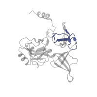 The deposited structure of PDB entry 4u53 contains 2 copies of Pfam domain PF00467 (KOW motif) in Small ribosomal subunit protein eS4A. Showing 1 copy in chain F [auth S4].