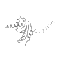 The deposited structure of PDB entry 4u53 contains 1 copy of Pfam domain PF17777 (Insertion domain in 60S ribosomal protein L10P) in Large ribosomal subunit protein uL10. Showing 1 copy in chain DF [auth p0] (this domain is out of the observed residue ranges!).