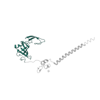 The deposited structure of PDB entry 4u53 contains 2 copies of Pfam domain PF01092 (Ribosomal protein S6e) in Small ribosomal subunit protein eS6A. Showing 1 copy in chain H [auth S6].