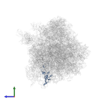 Small ribosomal subunit protein eS8A in PDB entry 4u53, assembly 2, side view.