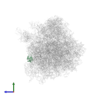 Small ribosomal subunit protein eS24A in PDB entry 4u53, assembly 2, side view.