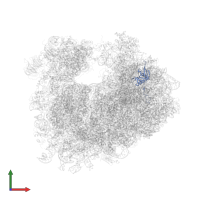 Large ribosomal subunit protein eL20A in PDB entry 4u53, assembly 2, front view.