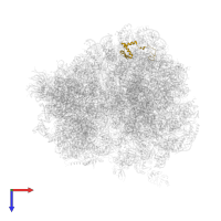 Large ribosomal subunit protein eL36A in PDB entry 4u53, assembly 2, top view.