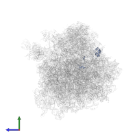 Large ribosomal subunit protein uL15 in PDB entry 4u56, assembly 2, side view.